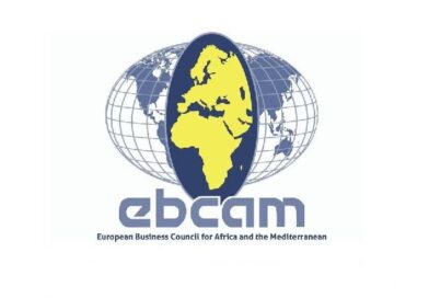 European Business Council for Africa June Newsletter