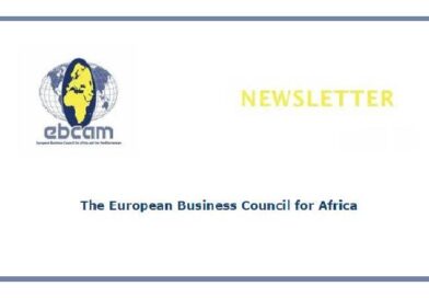 The European Business Council for Africa Newsletter November 2022