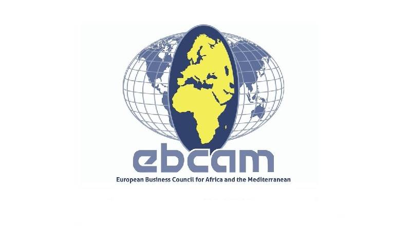 European Business Council for Africa June Newsletter
