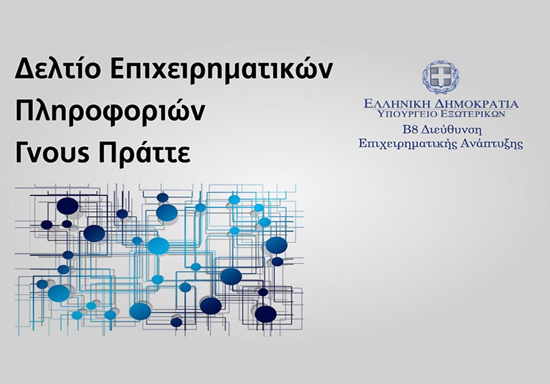 Δελτίο Επιχειρηματικών Πληροφοριών «Γνους Πράττε», Νοέμβριος 2018