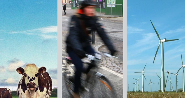 National policies and measures on climate change mitigation in Europe in 2019