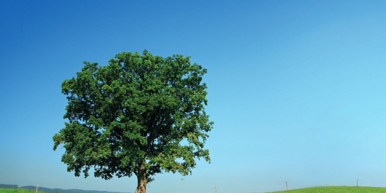 Achieving the Paris Agreement: FIDIC commitments