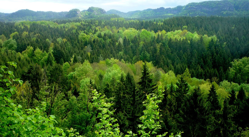 Albania – Environmental Services Project