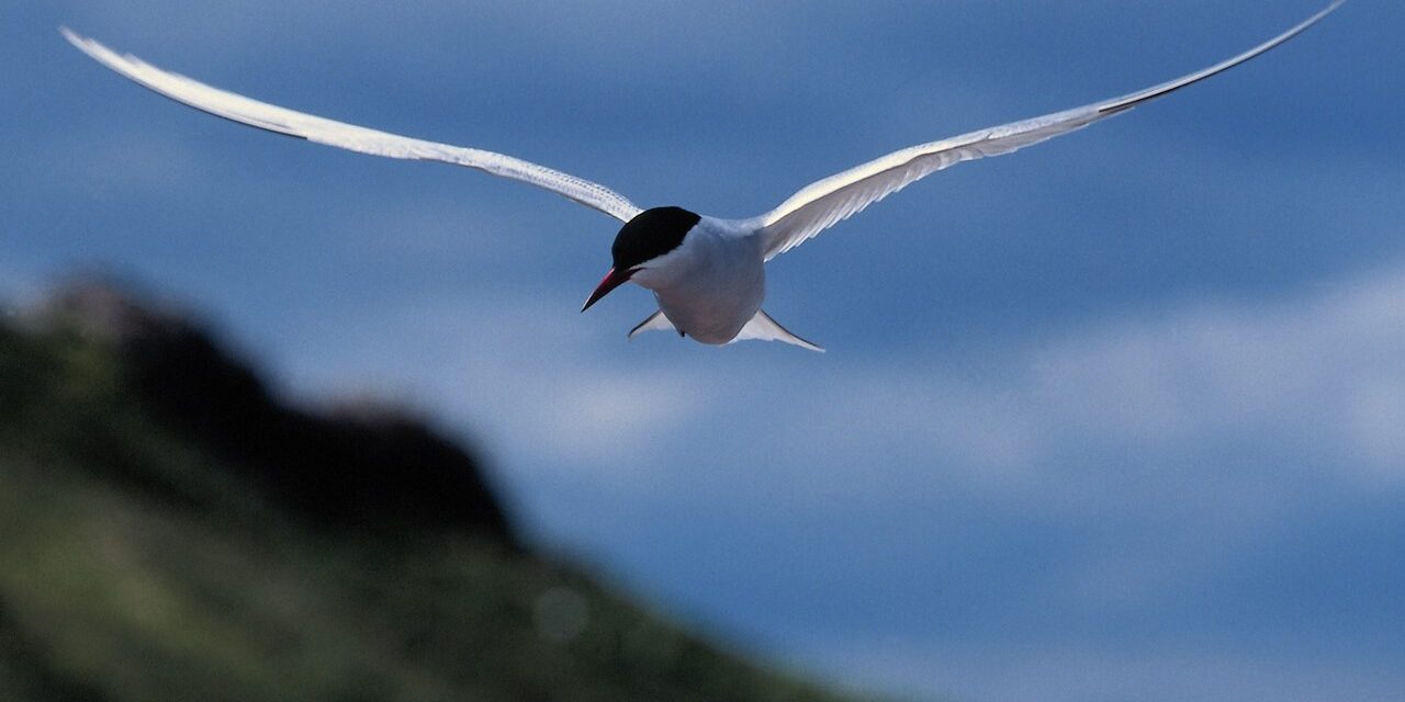Ν. 4546/2018 για τον θαλάσσιο χωροταξικό σχεδιασμό