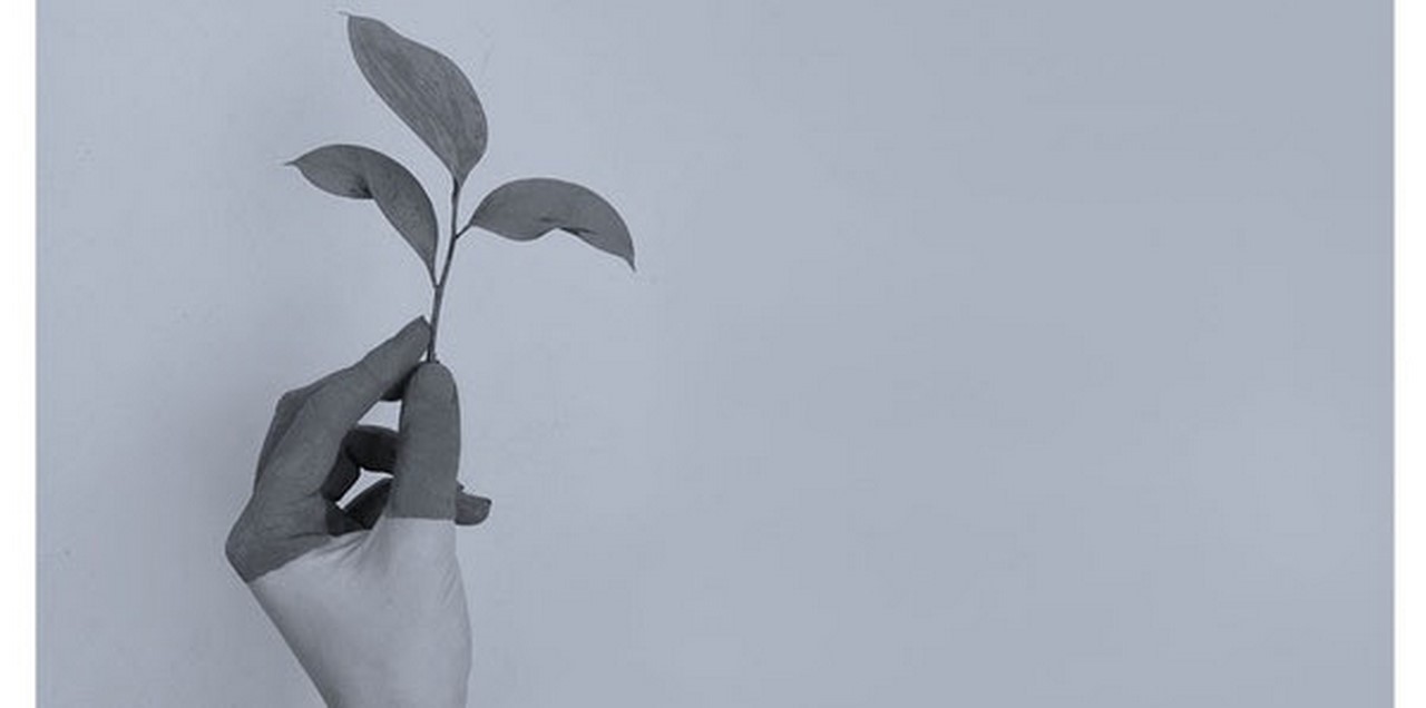 Special Report ΣΕΒ “Στρατηγική Ανάπτυξης”