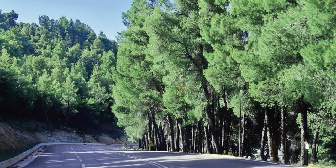 Διαγωνισμός «Νέος κεντρικός οδικός άξονας – κορμός Β. Εύβοιας: Τμήμα Στροφυλιά – Ιστιαία»